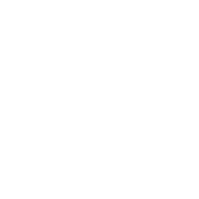 L2 Properties